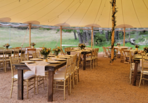 Home - Alpine Events - Event Rentals & Floral Design